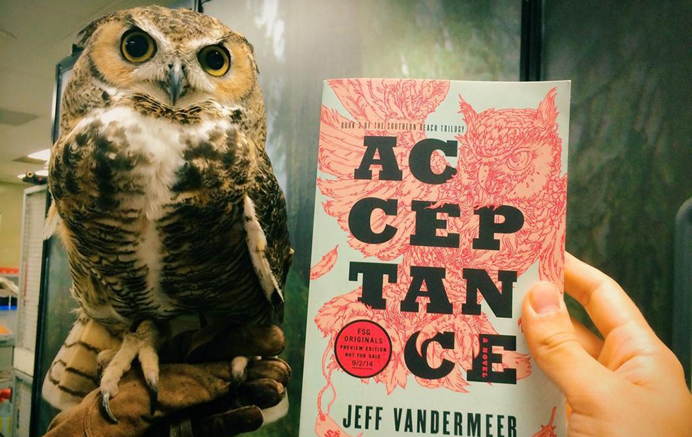 Acceptance by Jeff VanderMeer